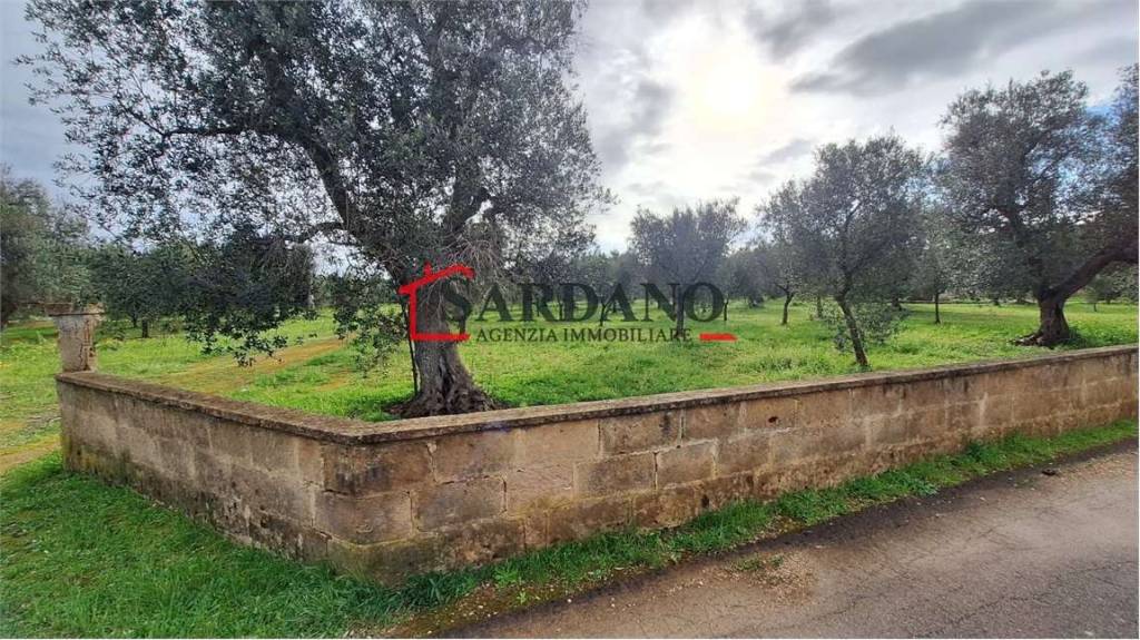 immagine annuncio 7 di 9