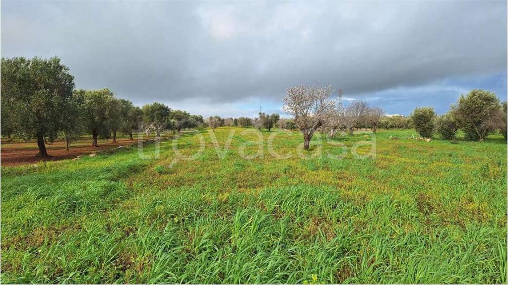 immagine annuncio 1 di 6