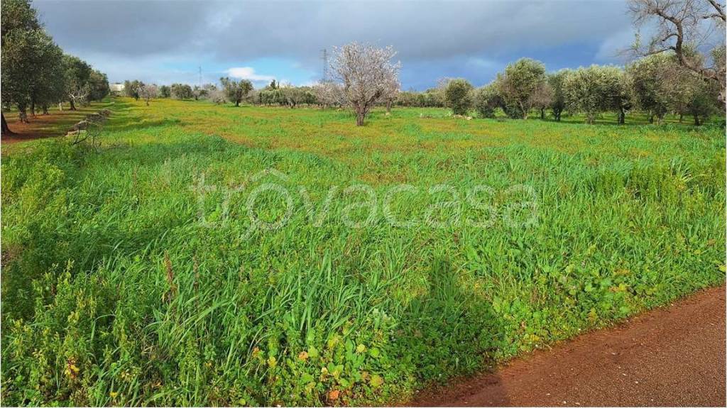 immagine annuncio 5 di 6