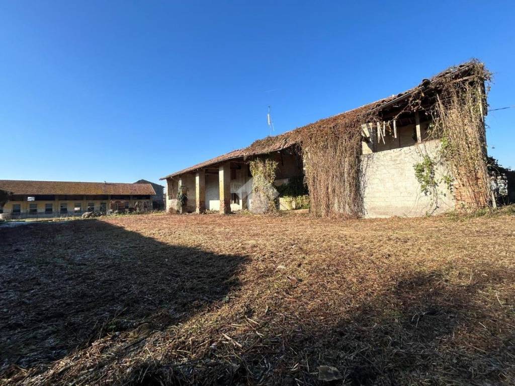 immagine annuncio 4 di 10