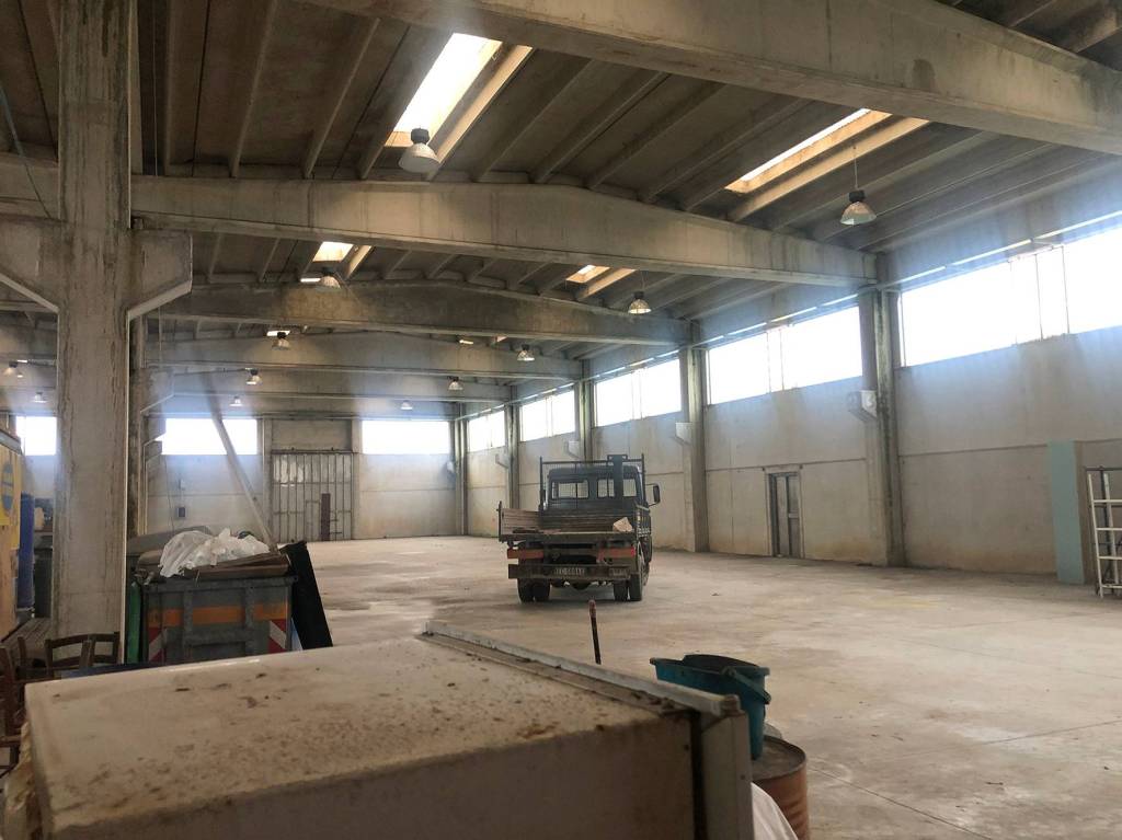 immagine annuncio 8 di 15