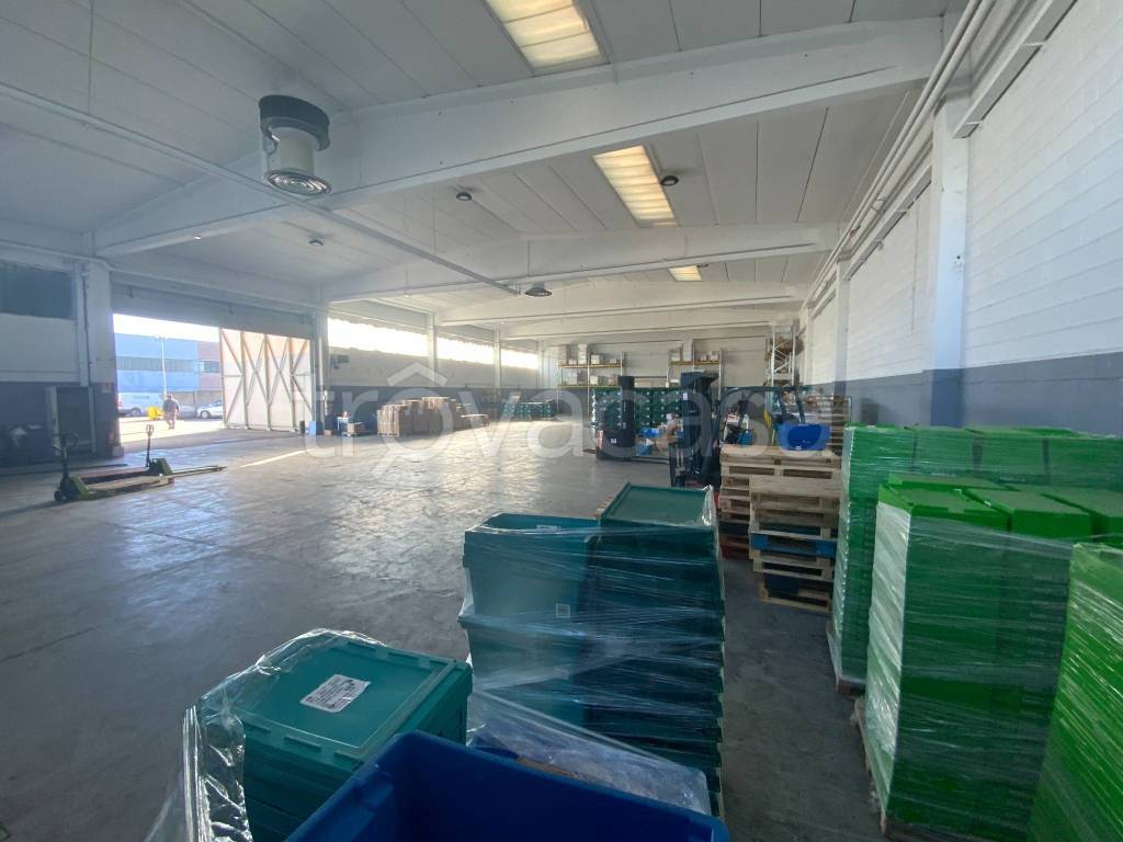 immagine annuncio 1 di 15