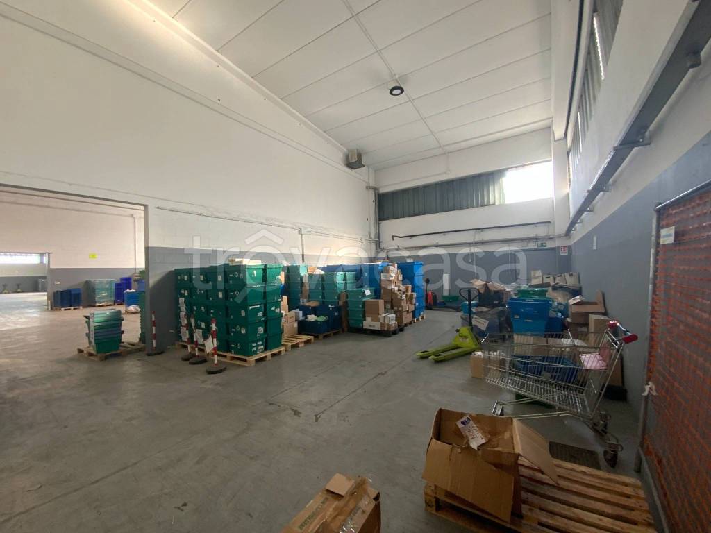 immagine annuncio 9 di 15