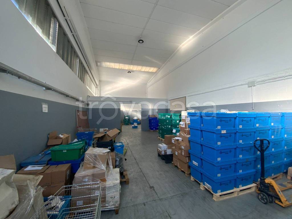 immagine annuncio 10 di 15