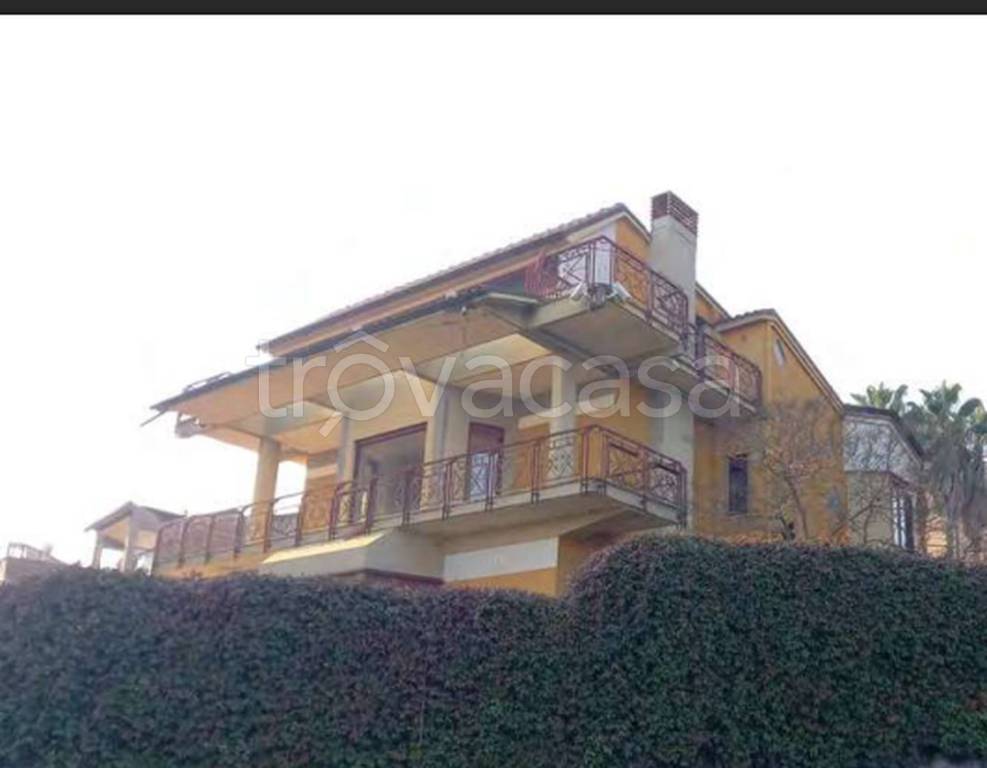 immagine annuncio 6 di 12