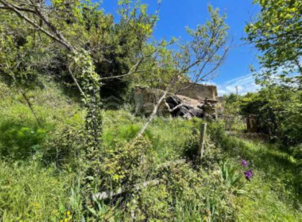 immagine annuncio 8 di 12