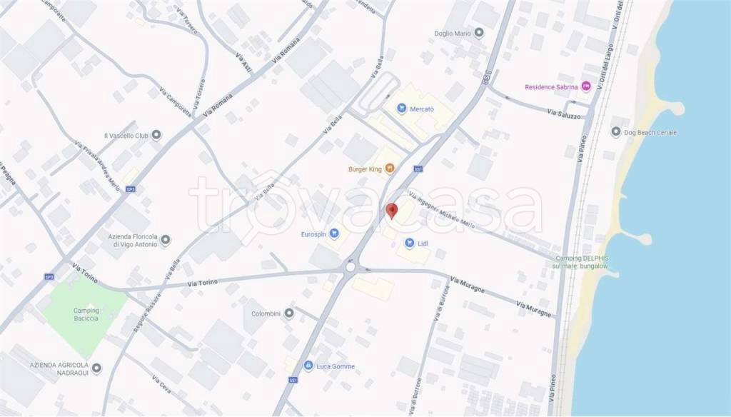 immagine annuncio 7 di 15