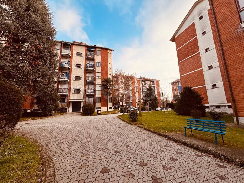 immagine annuncio 1 di 15