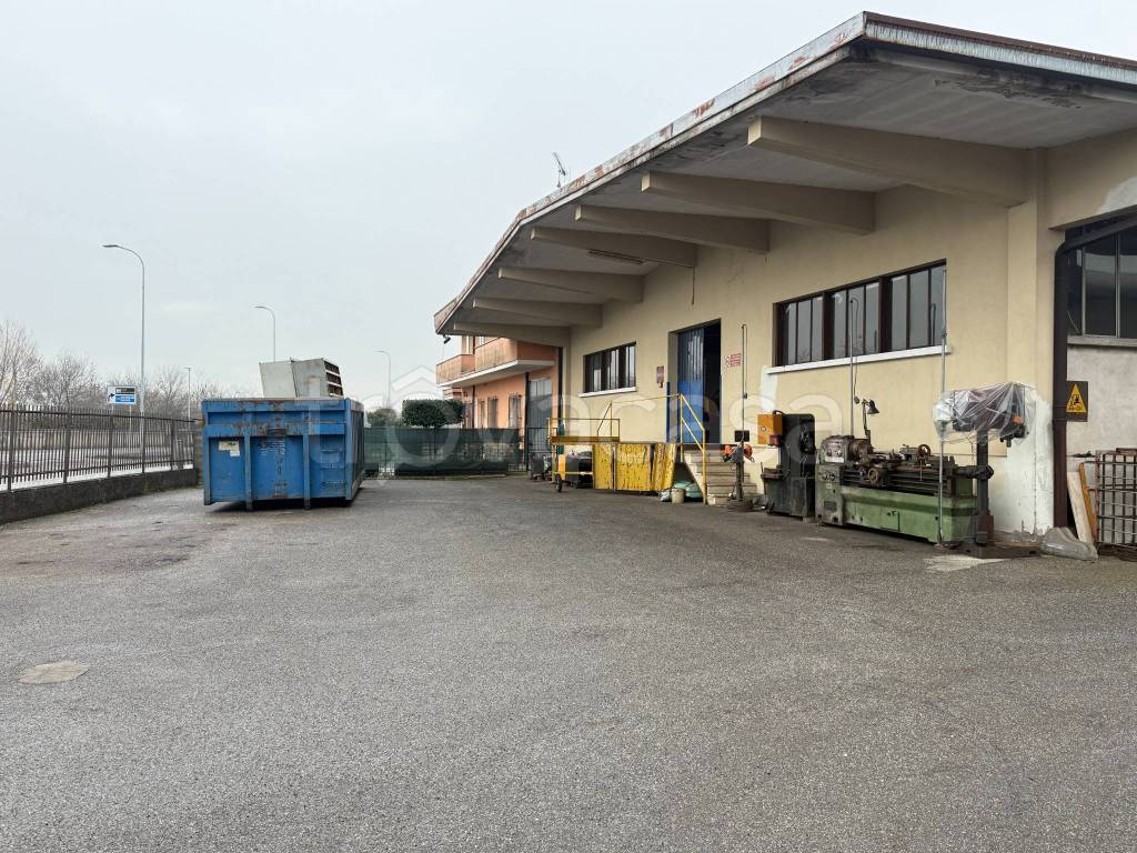 immagine annuncio 3 di 13