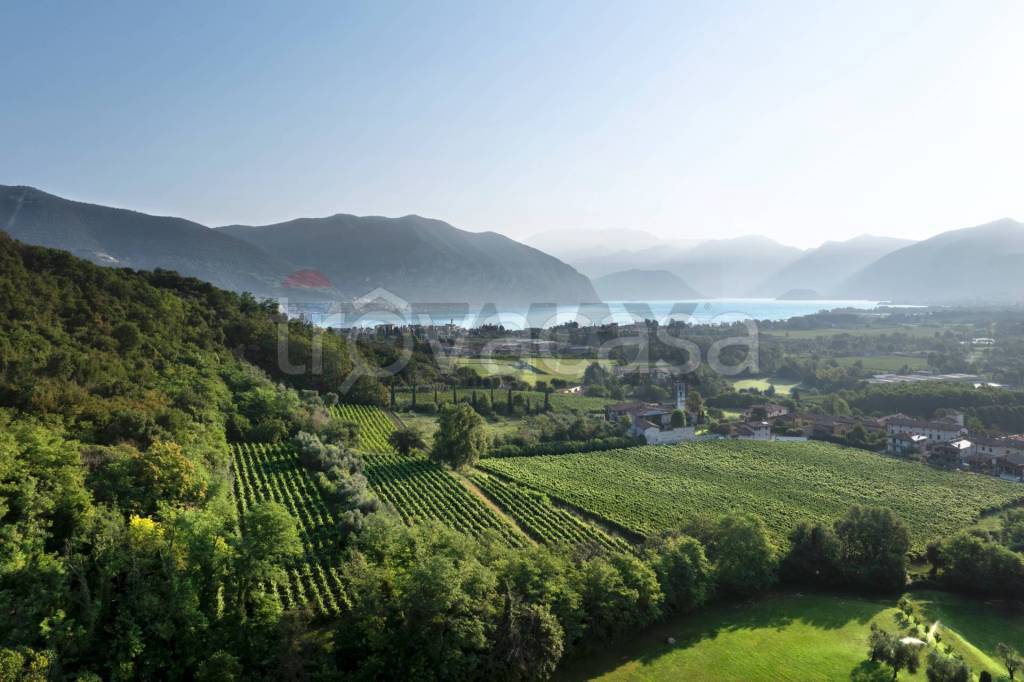 immagine annuncio 9 di 14