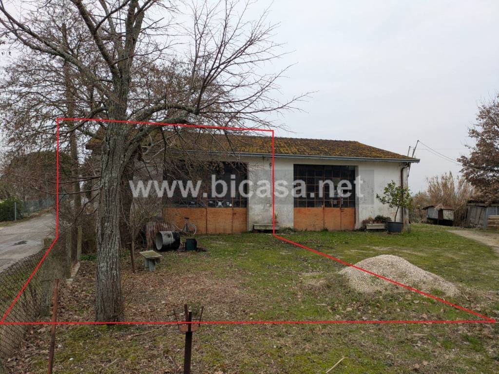 immagine annuncio 11 di 14