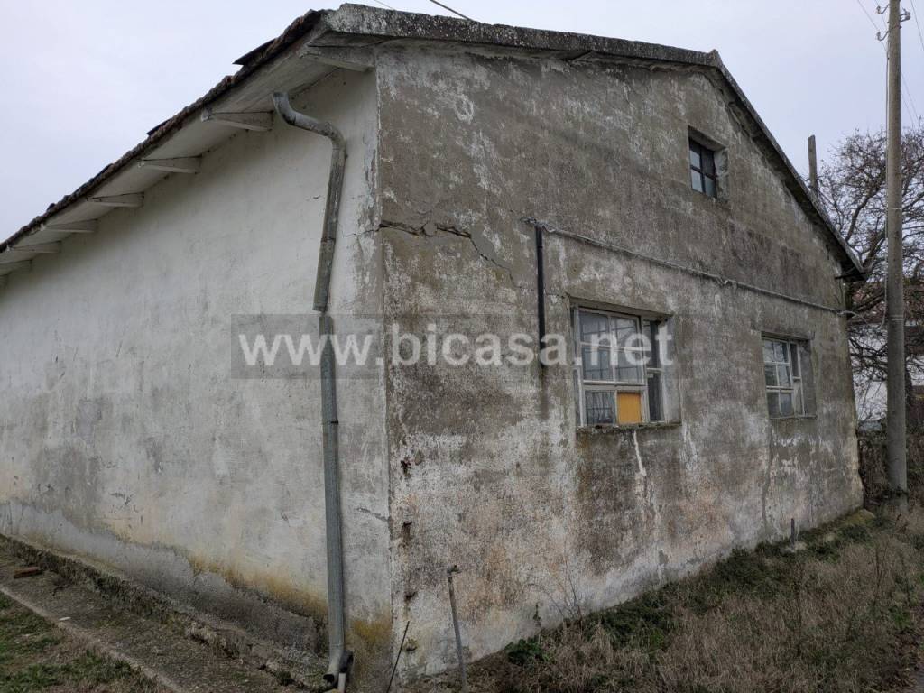 immagine annuncio 12 di 14