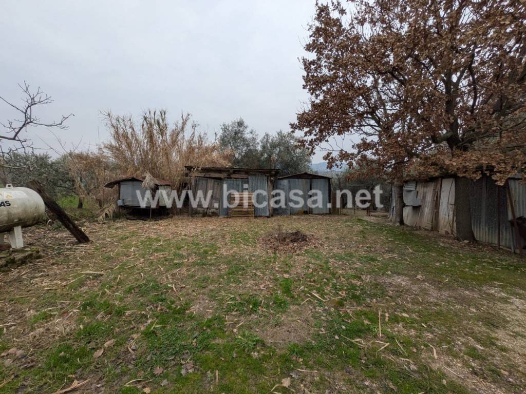 immagine annuncio 13 di 14