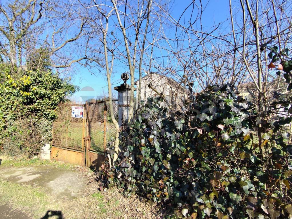 immagine annuncio 1 di 6