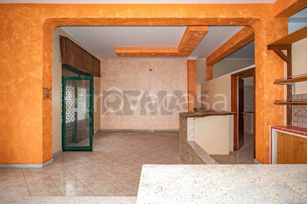 immagine annuncio 3 di 14