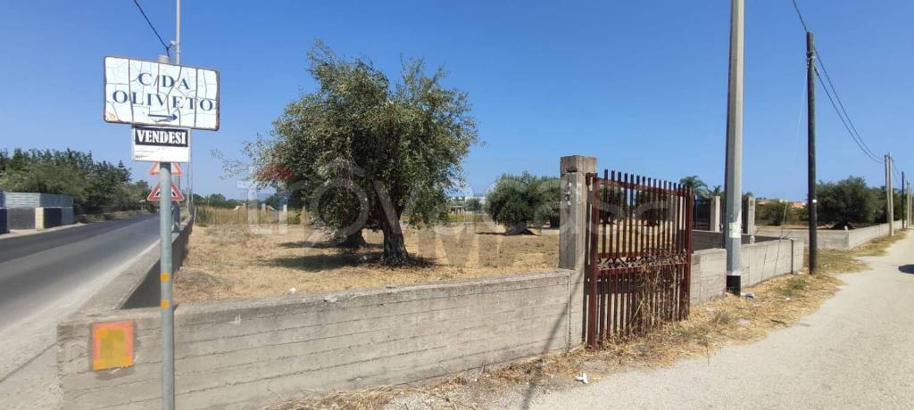 immagine annuncio 1 di 8