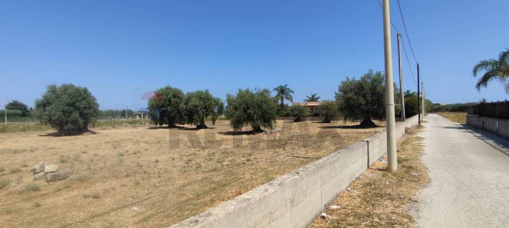 immagine annuncio 3 di 8