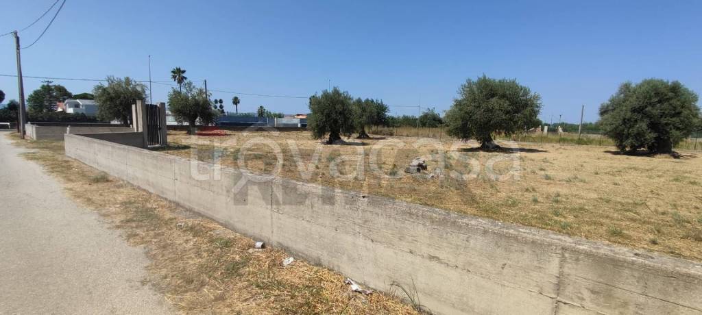 immagine annuncio 6 di 8