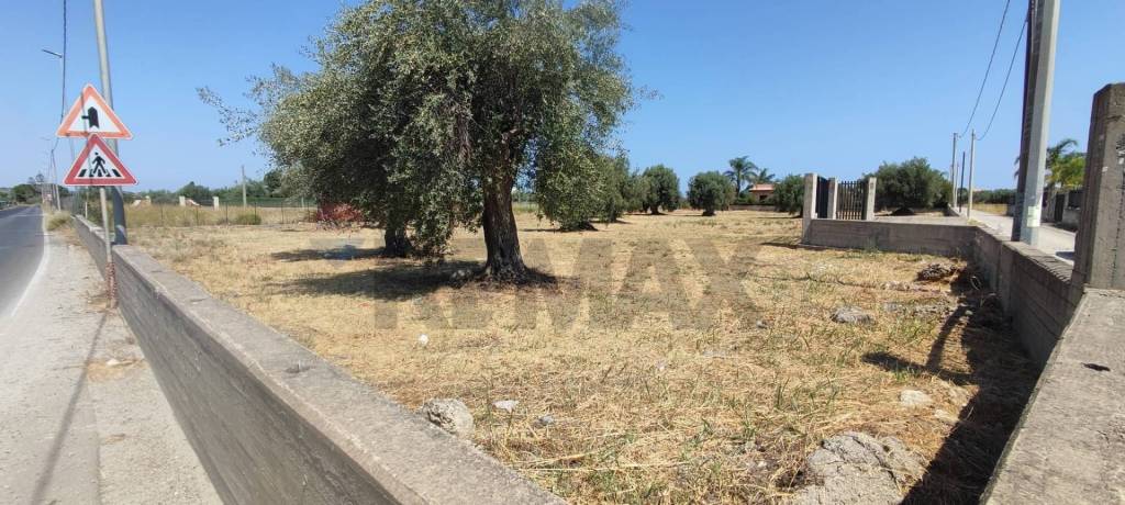 immagine annuncio 7 di 8