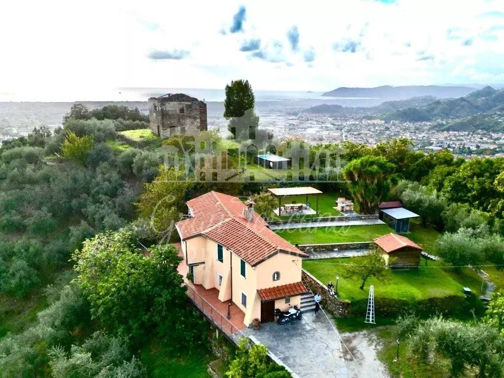 immagine annuncio 3 di 11