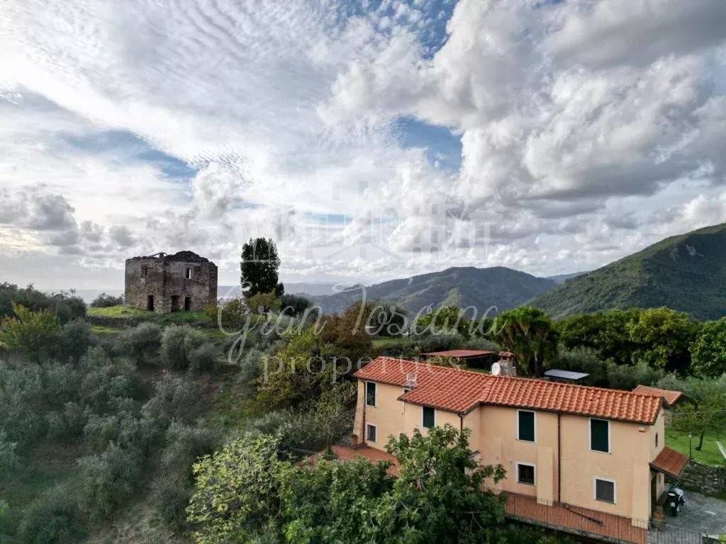 immagine annuncio 4 di 11