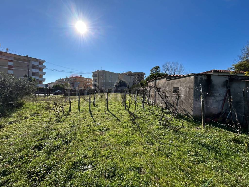 immagine annuncio 2 di 7