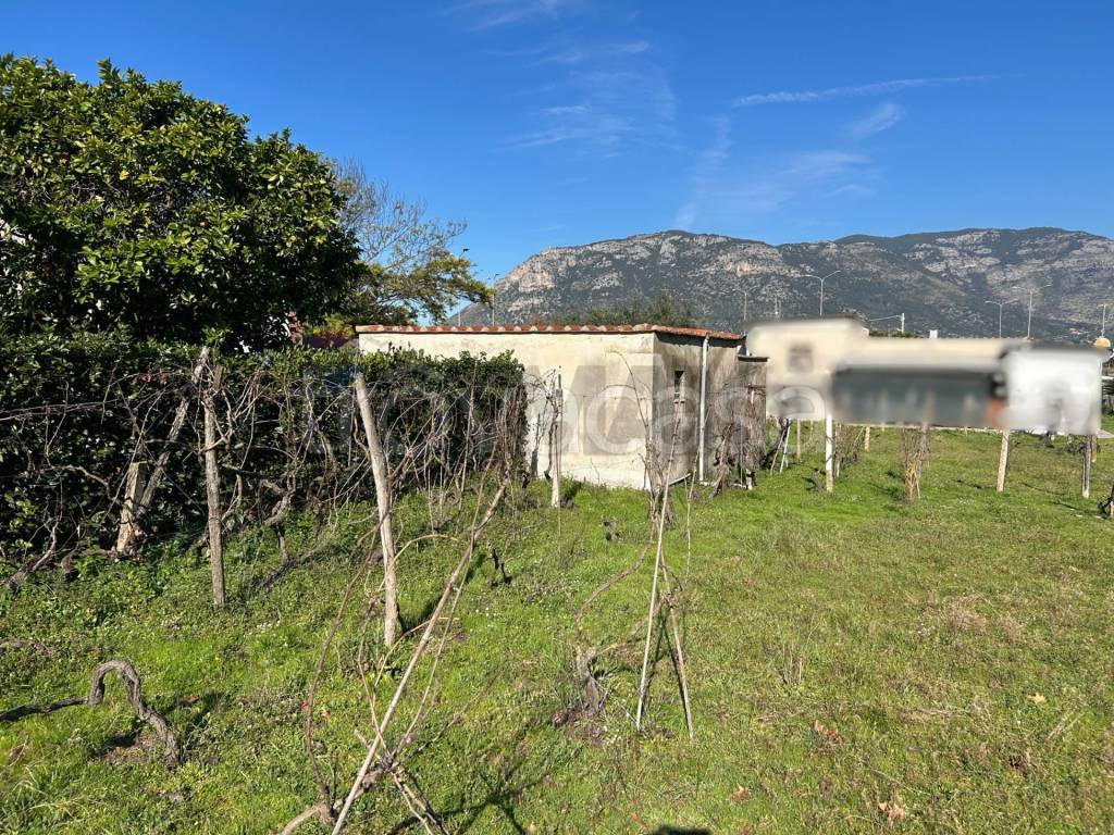 immagine annuncio 3 di 7