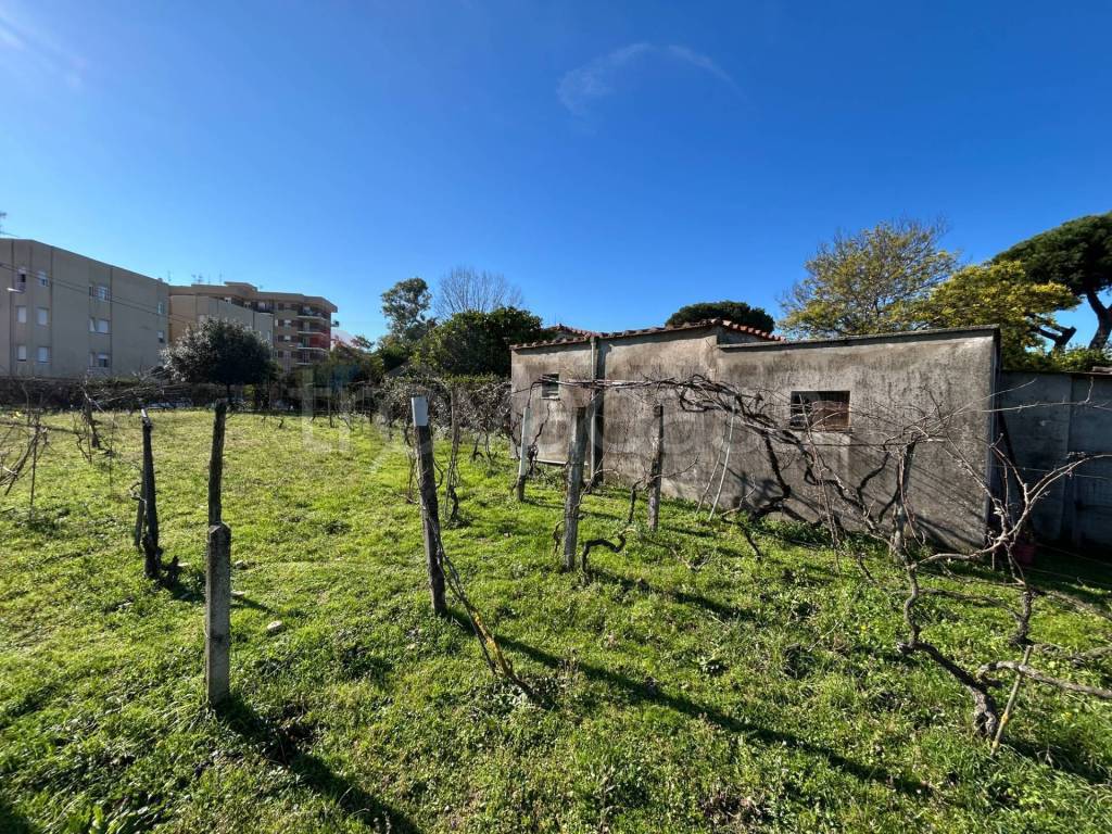 immagine annuncio 4 di 7