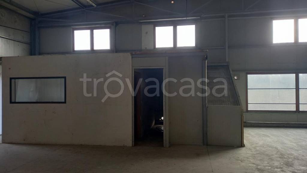 immagine annuncio 6 di 9