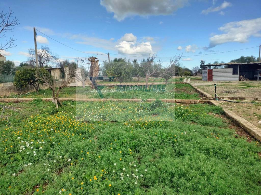 immagine annuncio 3 di 12