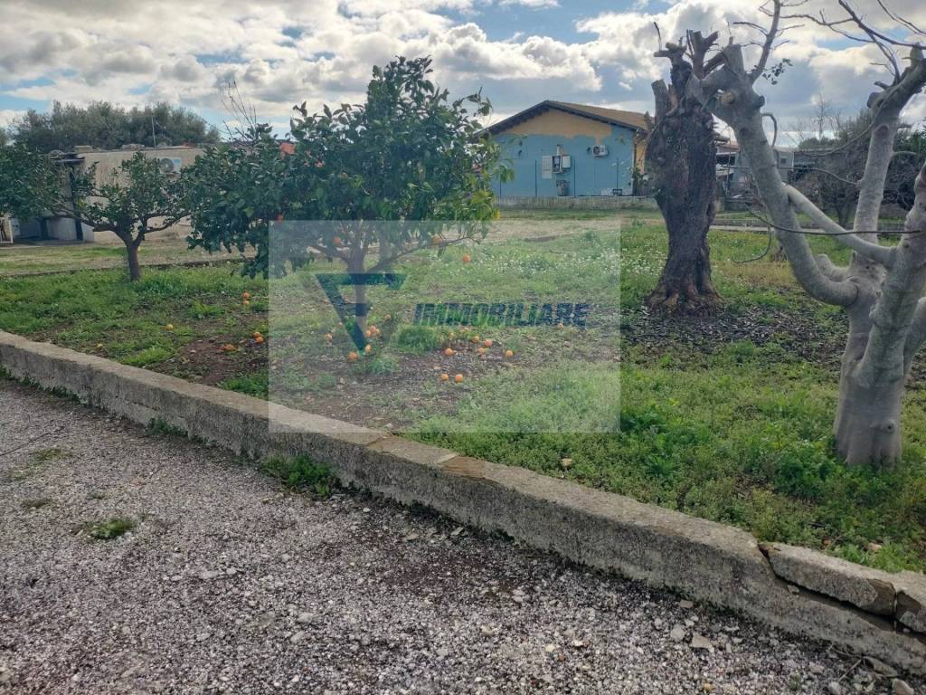 immagine annuncio 5 di 12