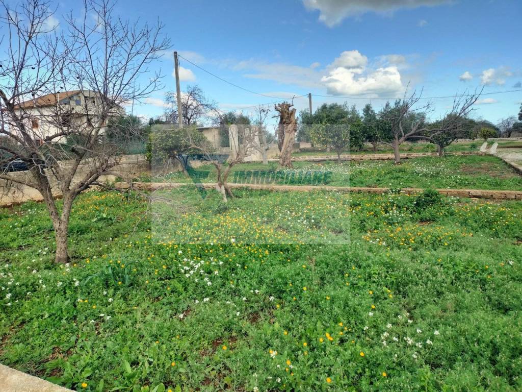 immagine annuncio 6 di 12