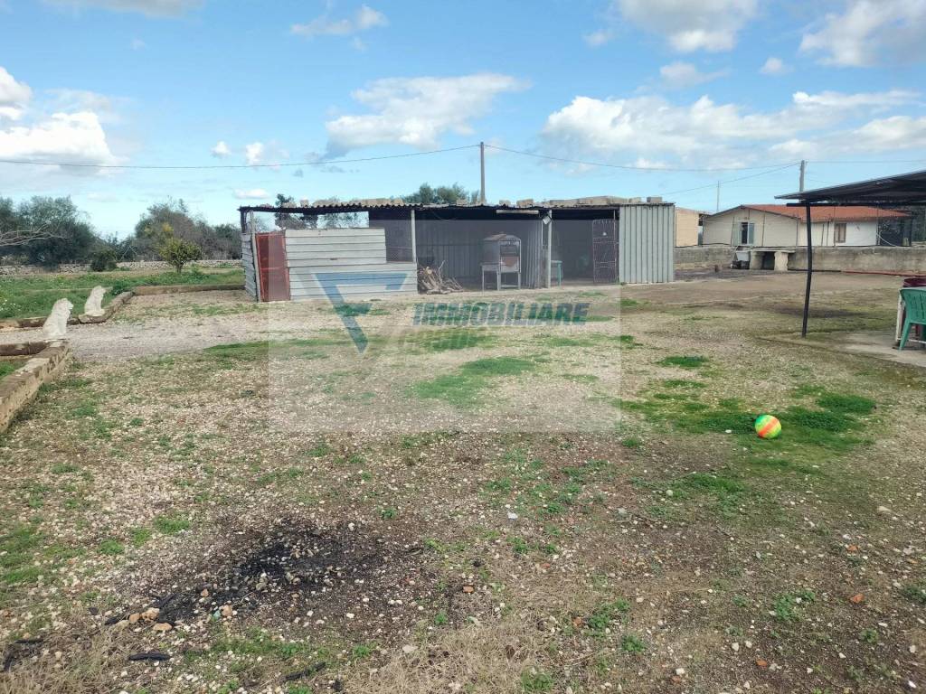 immagine annuncio 7 di 12