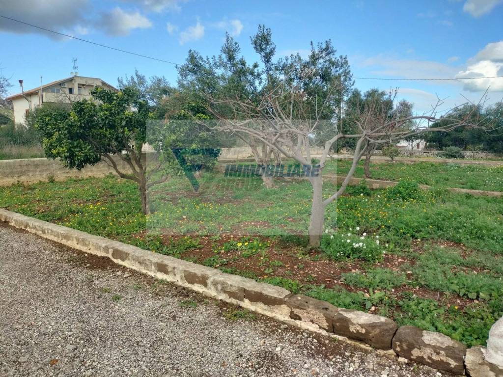 immagine annuncio 9 di 12