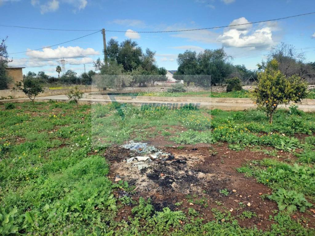 immagine annuncio 10 di 12