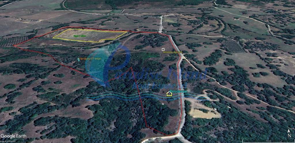 immagine annuncio 5 di 11