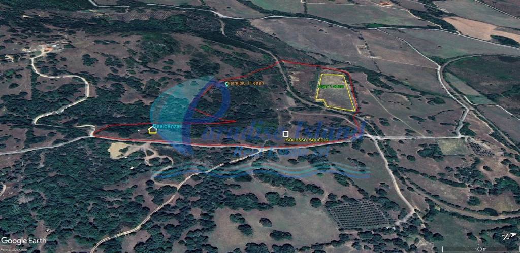 immagine annuncio 6 di 11