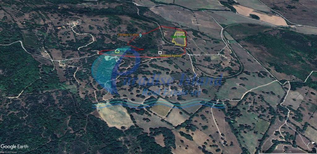 immagine annuncio 7 di 11