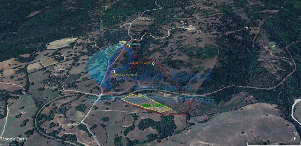 immagine annuncio 8 di 11