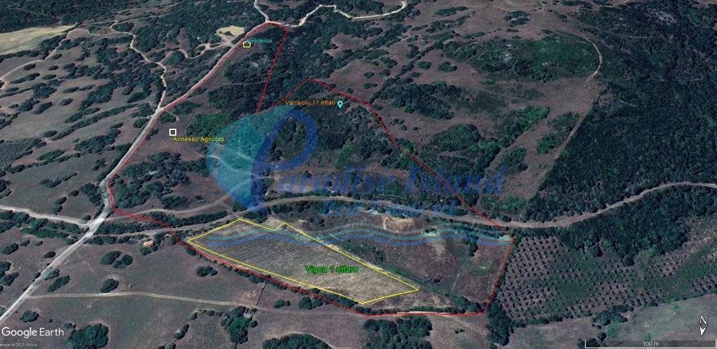 immagine annuncio 9 di 11