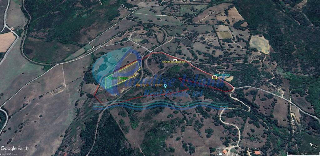 immagine annuncio 10 di 11