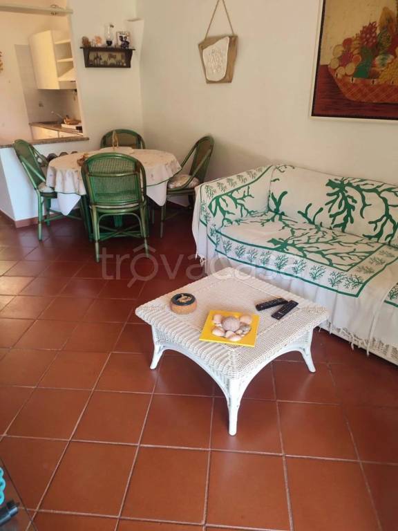 immagine annuncio 3 di 14