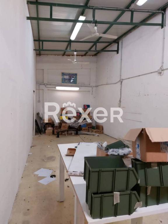 immagine annuncio 4 di 8