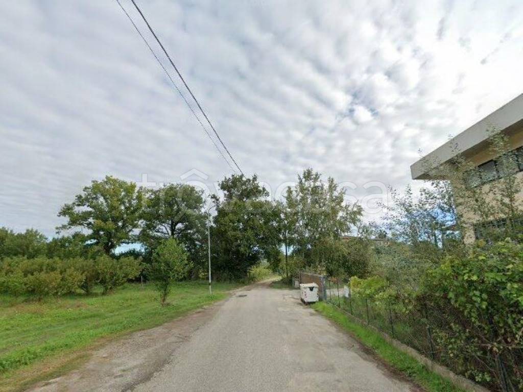 immagine annuncio 2 di 11