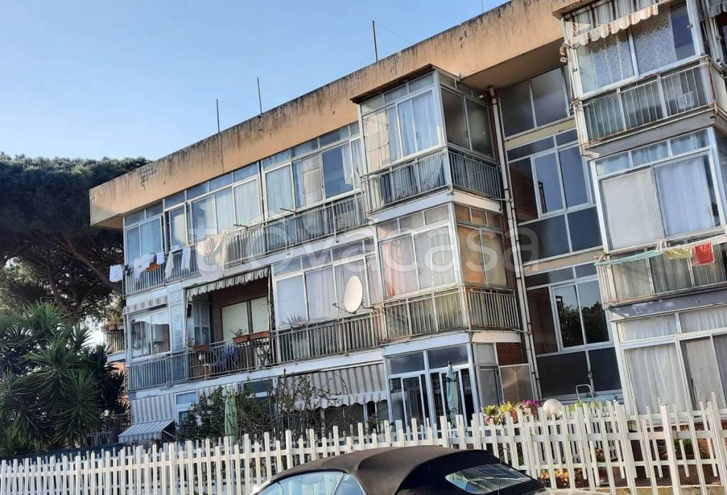 immagine annuncio 5 di 14