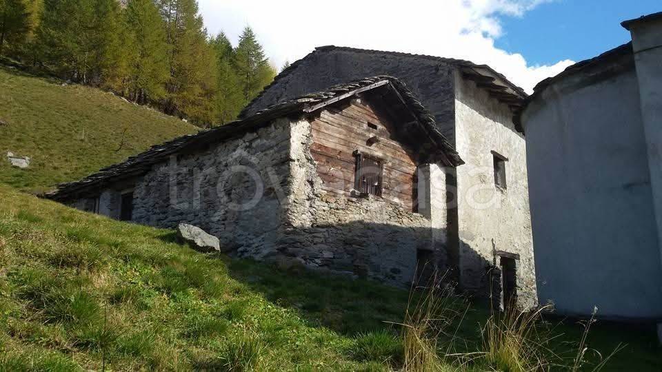 immagine annuncio 5 di 13