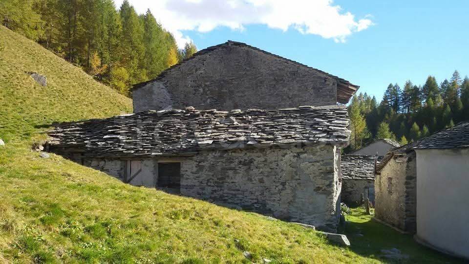 immagine annuncio 8 di 13