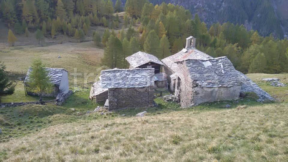 immagine annuncio 11 di 13