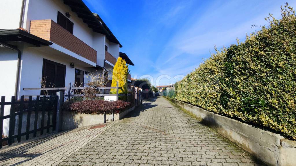 immagine annuncio 8 di 15