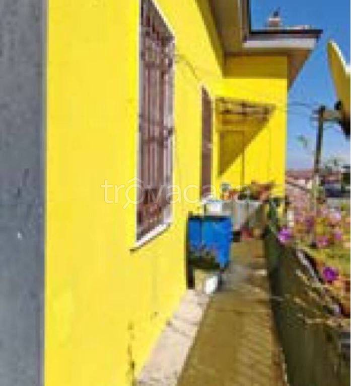 immagine annuncio 9 di 13